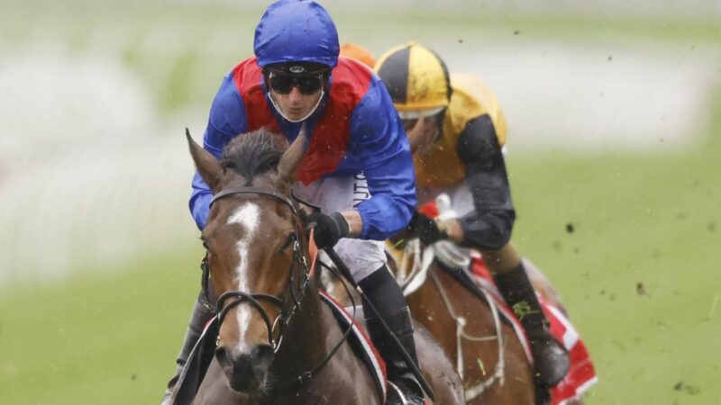 Post Right Bottom Image