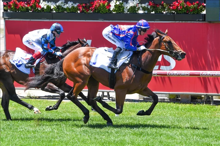 PRICE OPTS FOR GUEST HOUSE AS DIAMOND ACE Image