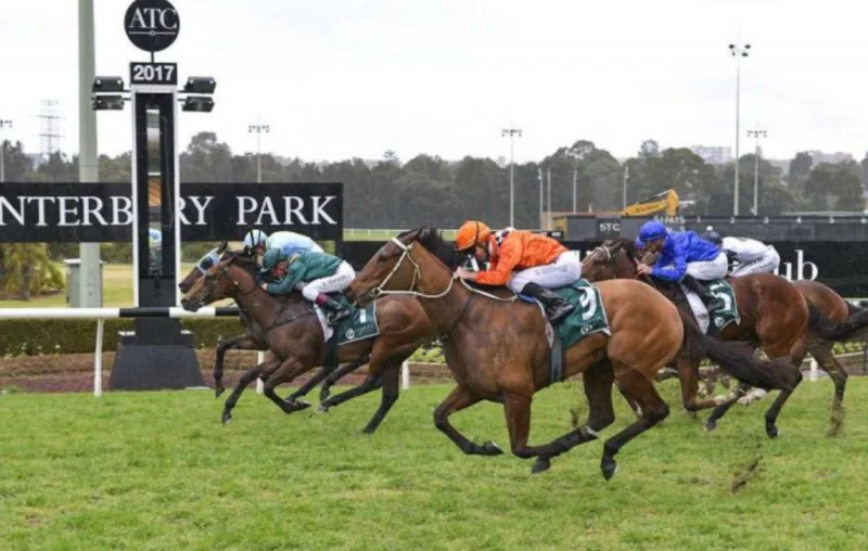 RACING: Canterbury Best Selection & Value Play 27/5 Image