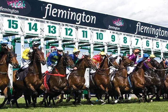 Black Book: Horses You Must Follow From Flemington 17/5 Image