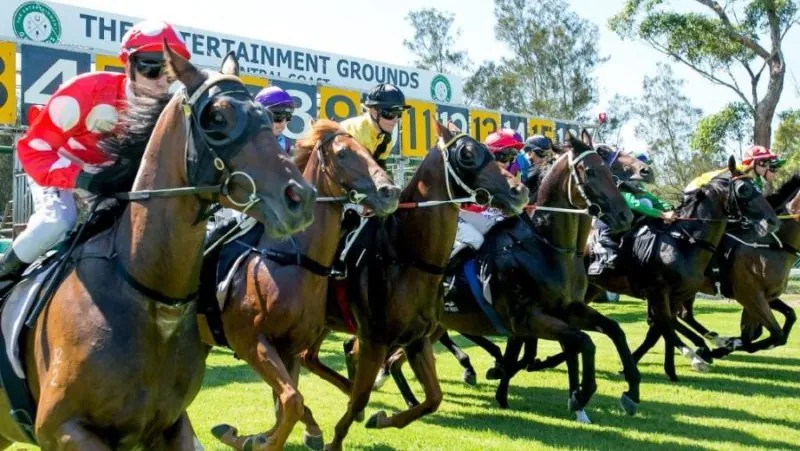 Black Book: Horses You Must Follow From Gosford 9/5 Image
