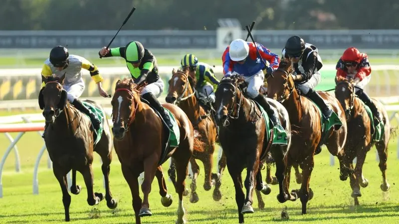 Black Book: Horses You Must Follow From Randwick 23/5 Image