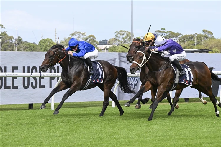 Racing Market Movers: Which Horses Have Been Backed This Saturday 21/3 Image