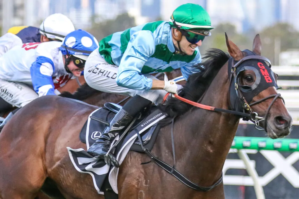 ZAKOUMA IS MELBOURNE CUP BOUND Image