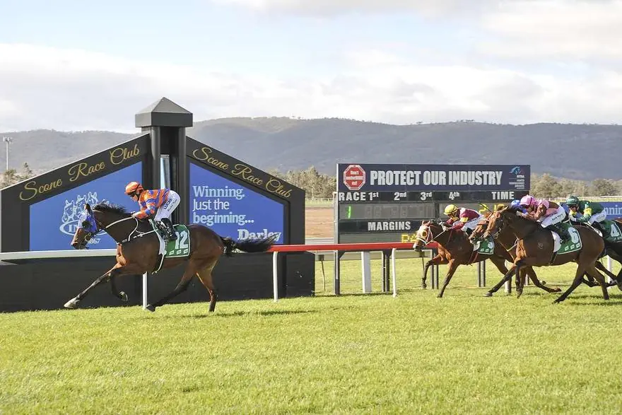 RACING: Scone Tips – Saturday 16th May Image