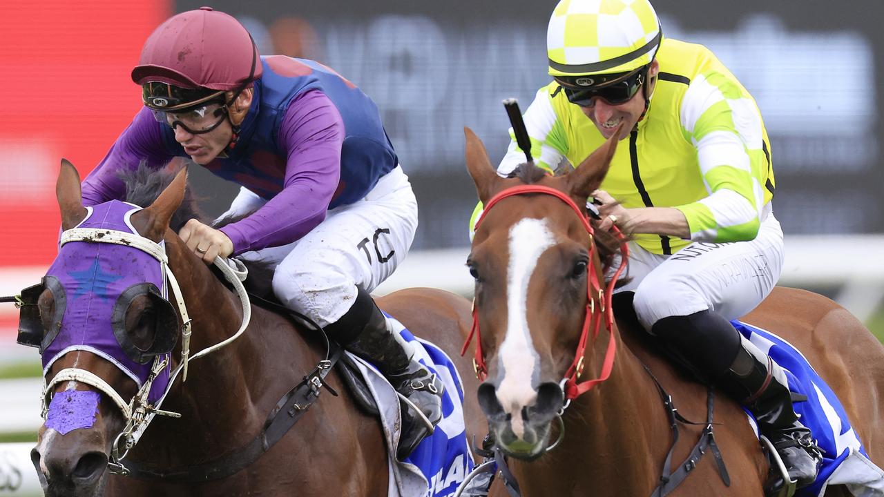 FREE: Rosehill Tip Sheet & Staking Plan: Saturday 12th March Image