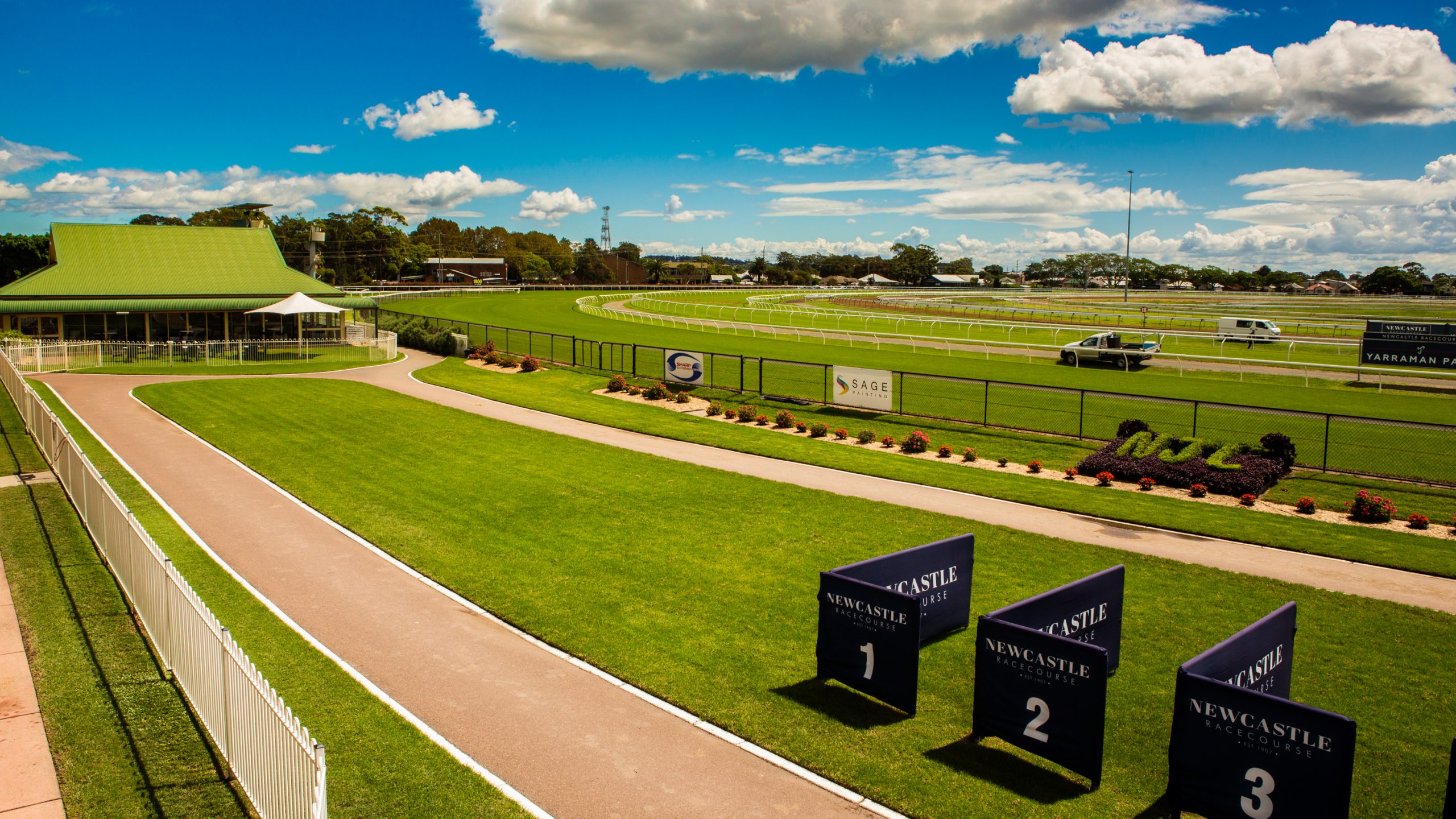 FREE: Newcastle Tip Sheet & Staking Plan: Saturday 16th November Image