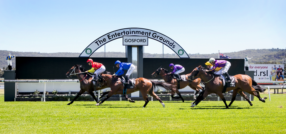 Gosford Tip Sheet & Staking Plan: Wednesday 2nd December Image