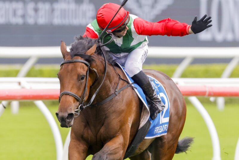 Avdulla fined $4000 Image