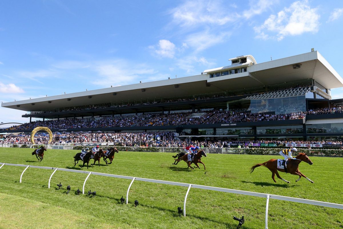 FREE: Rosehill Tip Sheet & Staking Plan: Saturday 21st May Image