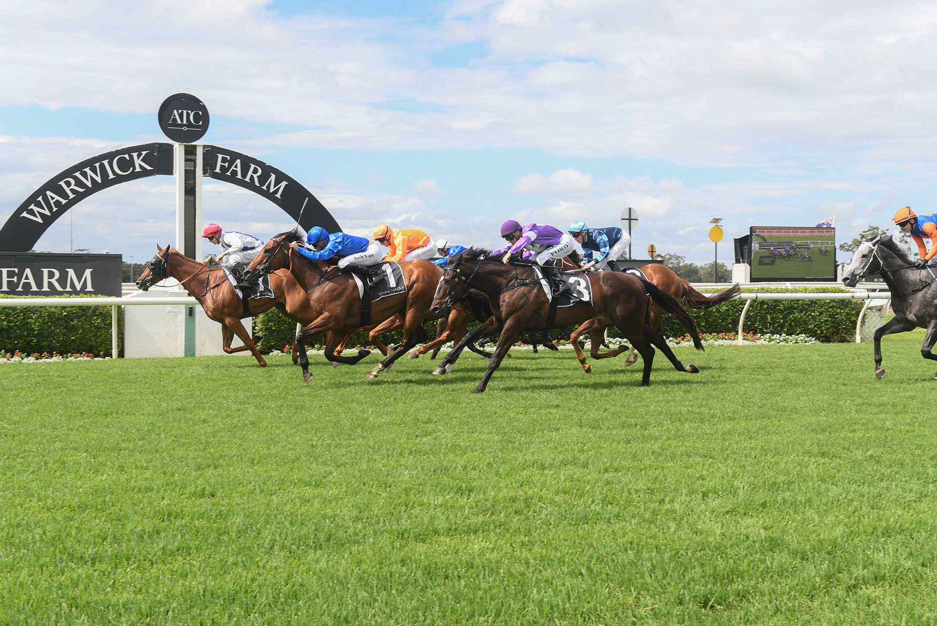 FREE:  Warwick Farm Tip Sheet & Staking Plan: Wednesday 11th May Image