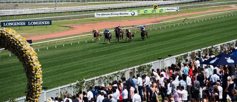 Rosehill Tip Sheet & Staking Plan: Saturday 22nd May Image