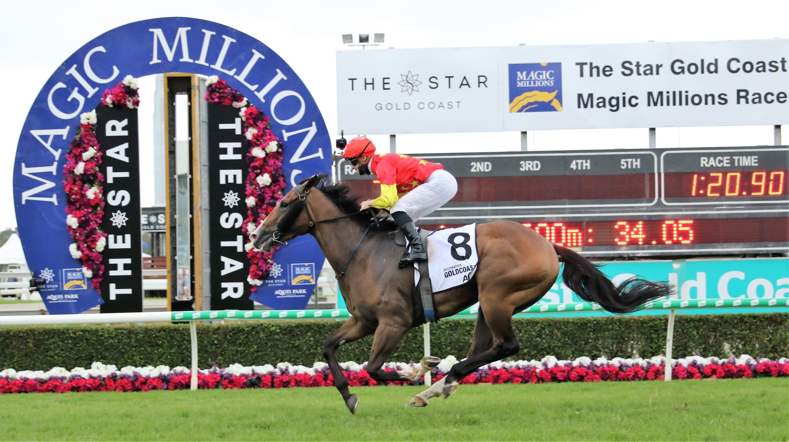 Hobartville the next Aim for Magic Millions 3-year-old Guineas winner Image