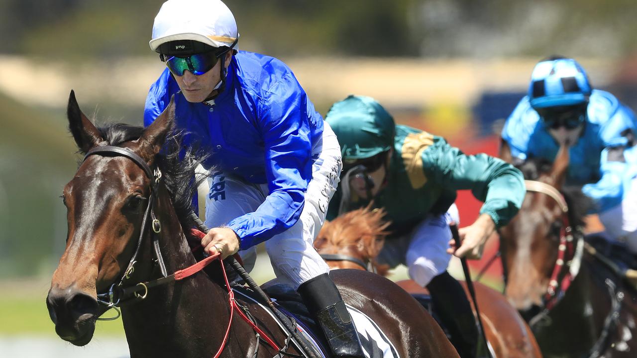 Horses You Must Follow From Randwick 15th August Image