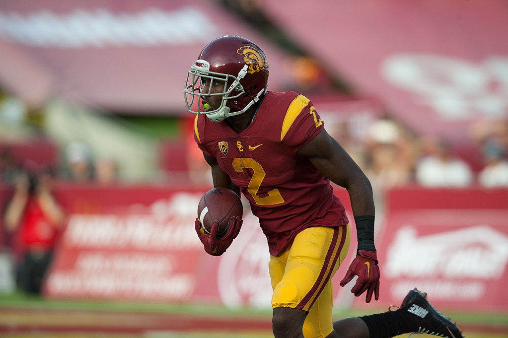 NFL's New York teams sign defensive players Image