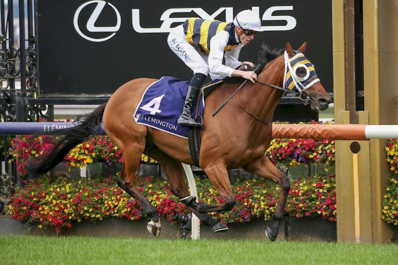 WILL AMADE JUMP IN THE ZIPPING? Image