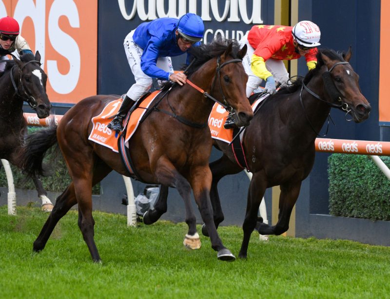Three-year-olds ready to fire in Cox Plate Image