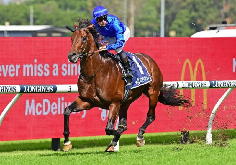 What’s In Store in 2023 For Cox Plate Hero Anamoe? Image