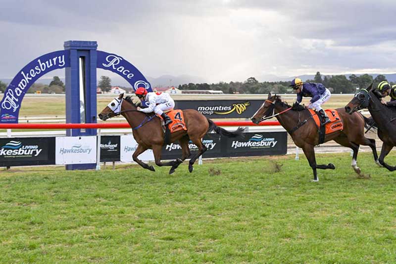 FREE: Hawkesbury Tip Sheet & Staking Plan: Saturday 30th April Image