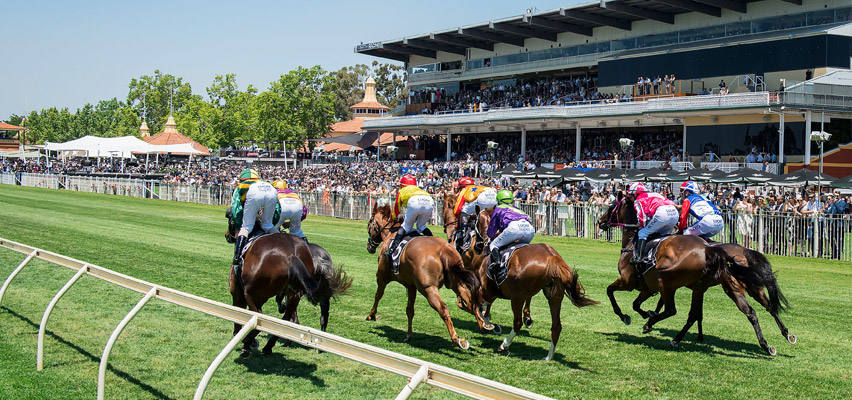 Horses You Must Follow From Ascot 28th November Image