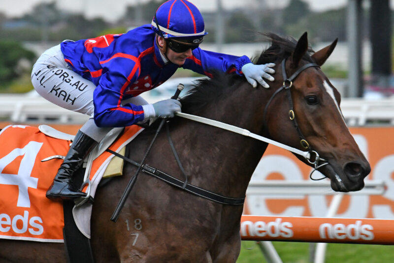 Caulfield Preview: Price Concerned By Prospect Of Rain Image