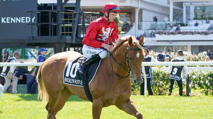 The Forgive, Forget and Follow Files 26/6 Image