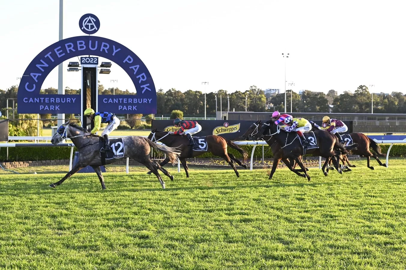 FREE: Canterbury Tip Sheet & Staking Plan: Wednesday 24th July Image