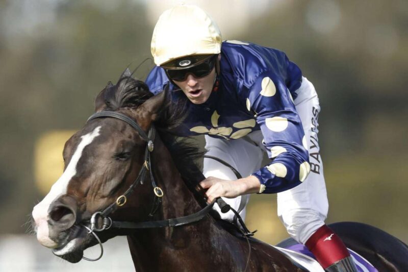 Rosehill Review: Kibou Untapped According To Bayliss Image
