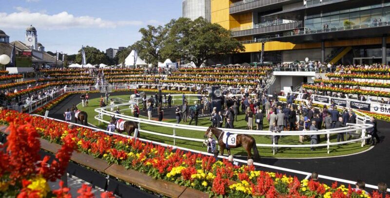 Bookmaker Review: Who You Must Bet With & Why Image