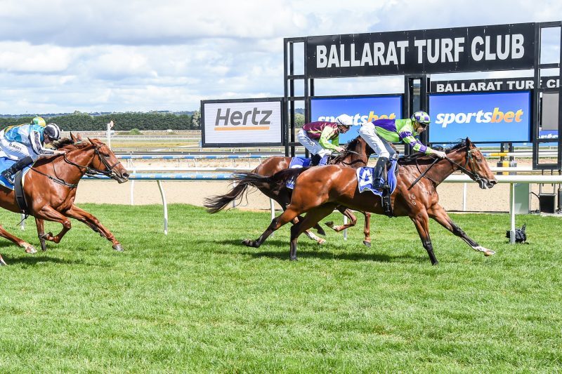 FREE: Ballarat Tip Sheet & Staking Plan: Wednesday 14th February Image
