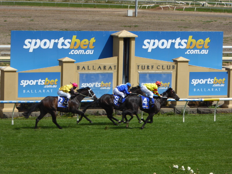 FREE: Ballarat Tip Sheet & Staking Plan: Wednesday 15th November Image