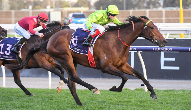 HE'S READY TO SQUARE OFF HIS SPRING CAMPAIGN Image