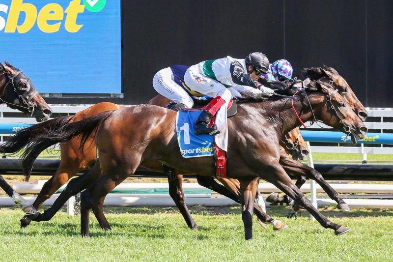 MR BRIGHTSIDE DELIVERS AGAIN Image