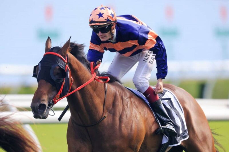 Randwick Preview: Brutality And Bayliss Looking For Big Win Image