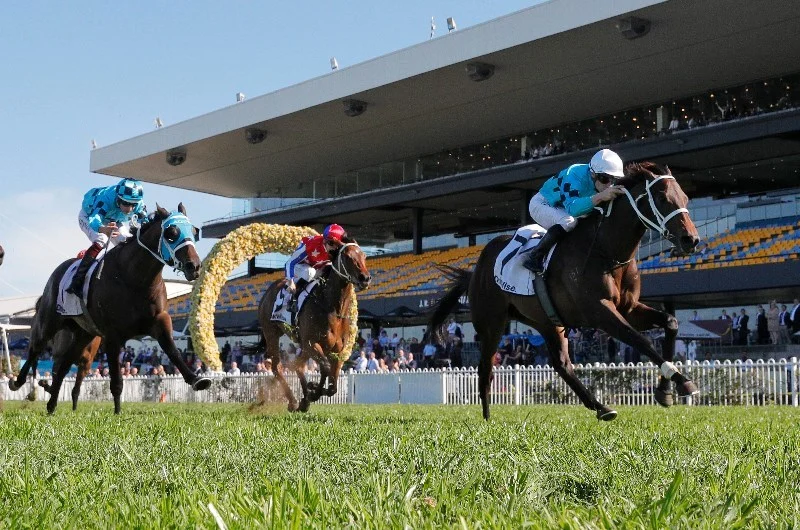 FREE: Rosehill Tip Sheet & Staking Plan: Saturday 3rd December Image