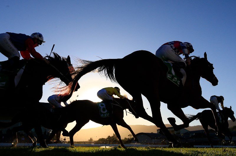 Country Championships Southern Districts Qualifier - Sat 19th Of Feb Image