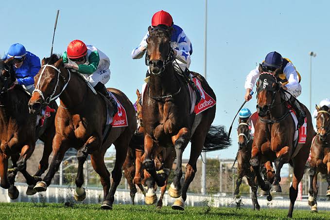Caulfield Tip Sheet & Staking Plan: Saturday 4th April Image