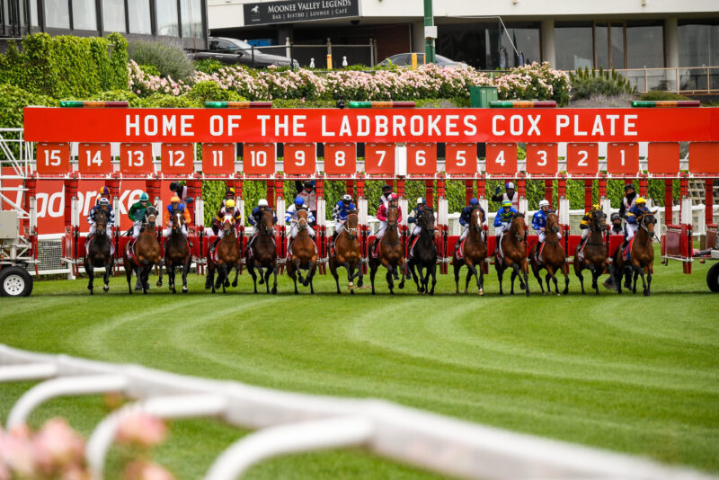 FREE: Moonee Valley Tip Sheet & Staking Plan: Saturday 26th October Image