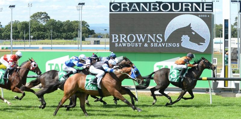 FREE: Cranbourne Tip Sheet & Staking Plan: Saturday 12th November Image