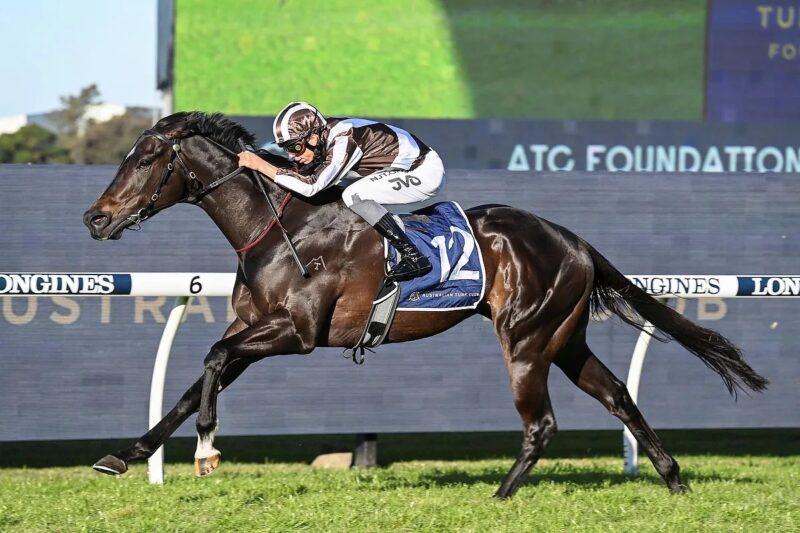 Rosehill Review: The Talk Is He Has A Big Future Image