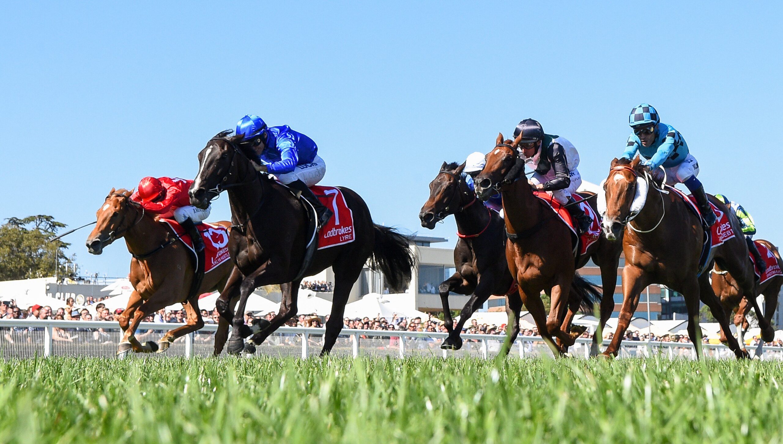 FREE: Rosehill Saturday 30th July - Our Selections Image