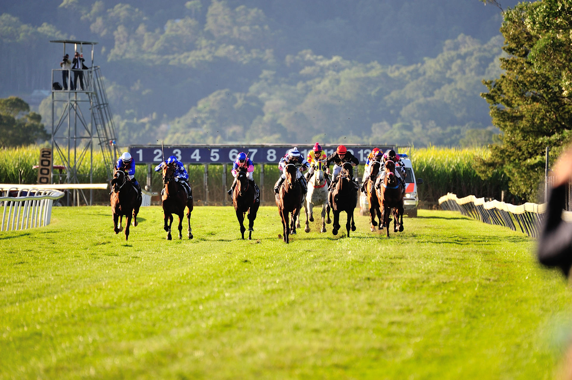 The Edge NSW: Sunday 17/10 - NSW & Country Service Image