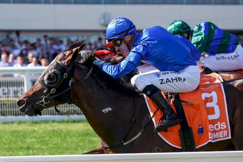 Best Bet Punters Club - Today's Play Has Been Posted Image