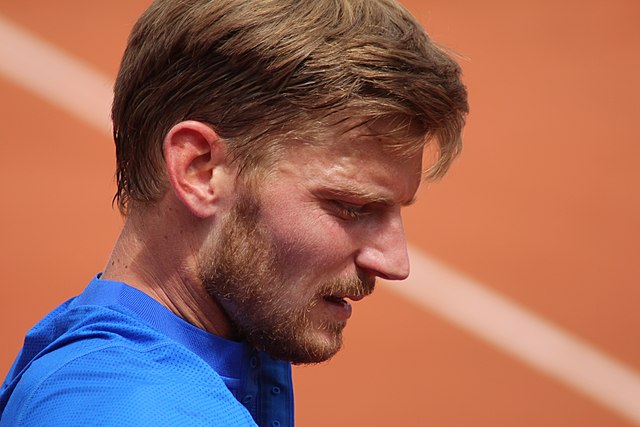 David Goffin and Sam Querrey test positive for coronavirus Image