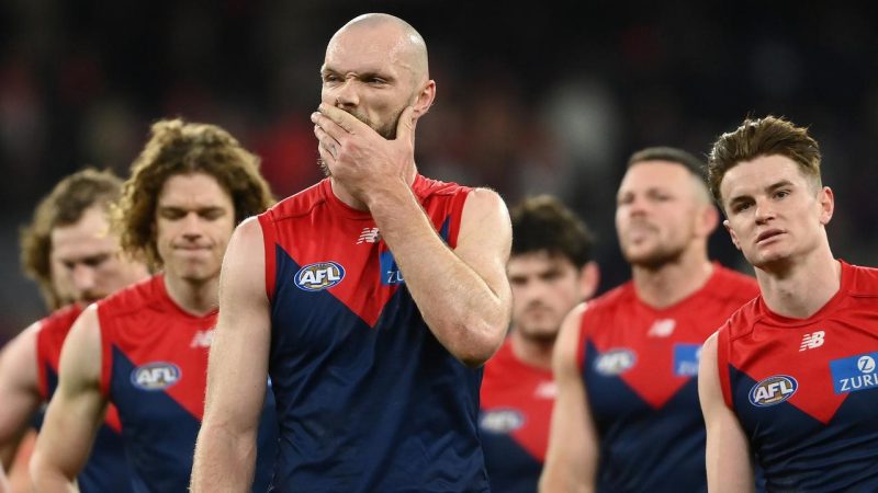 Melbourne Demons: Can They Win The Flag? Image