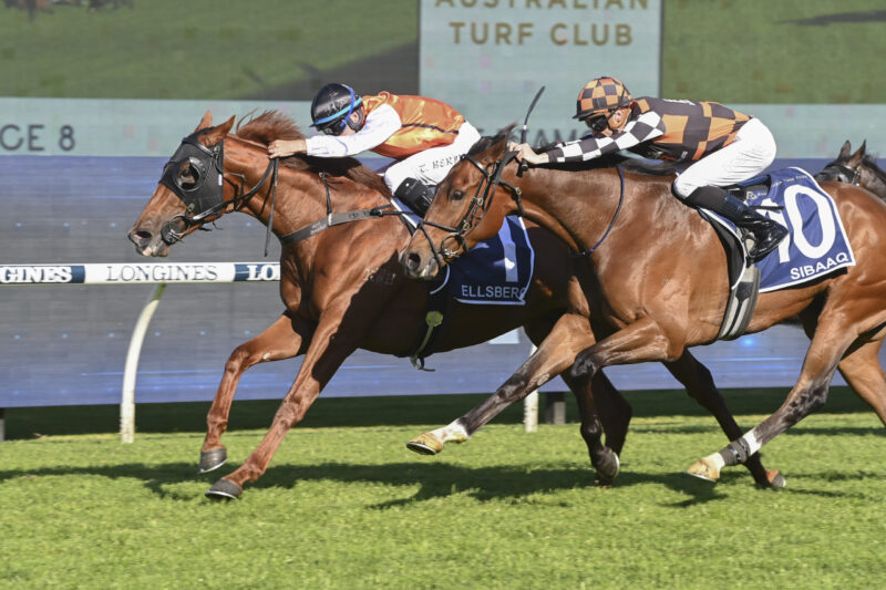 Rosehill Review: Ellsberg Emerges As A Star Image