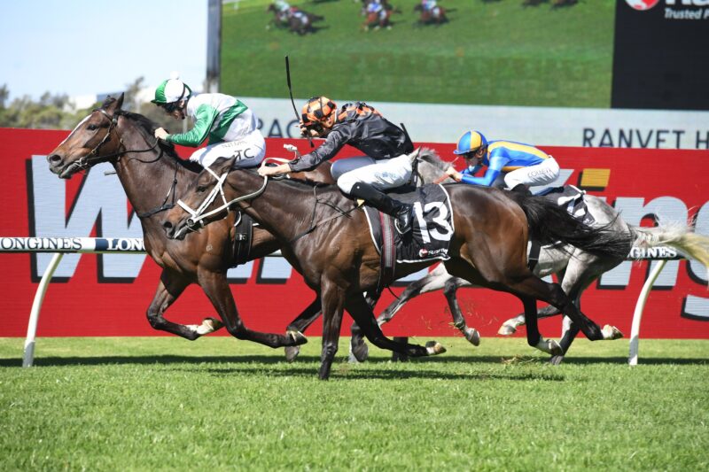 FREE: NSW Provincial & Country Service - Port Macquarie 13/8 Image