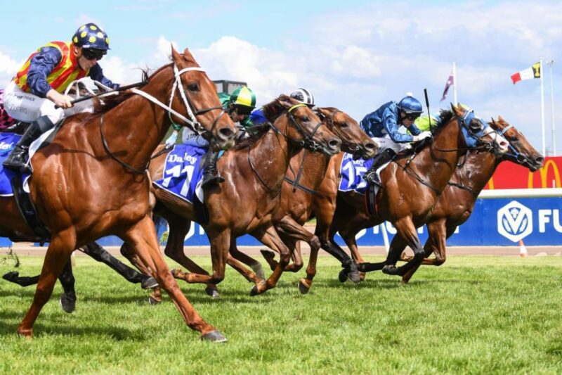 Our Black Book: Horses You Must Follow From Flemington 7/10 Image