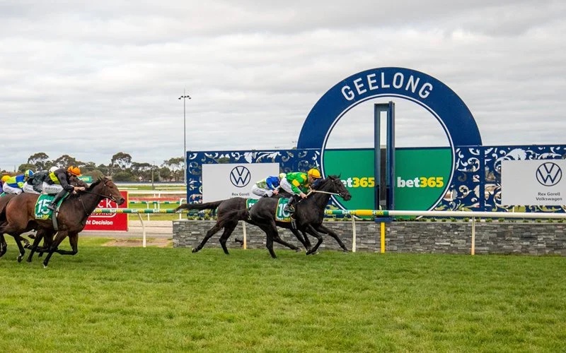FREE: Geelong Tip Sheet & Staking Plan: Wednesday 23rd October Image