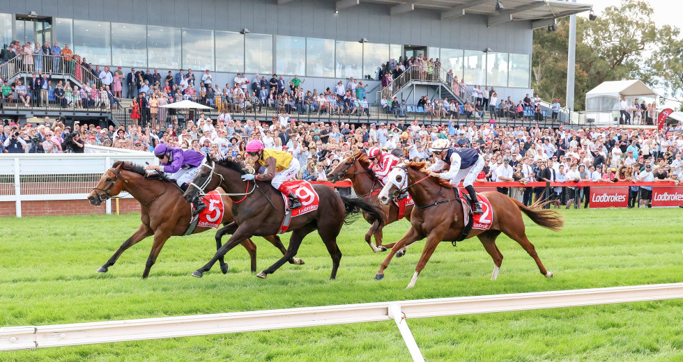 FREE: Cranbourne Tip Sheet & Staking Plan: Wednesday 2nd October Image